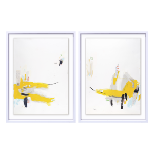 Coordenadas I & II